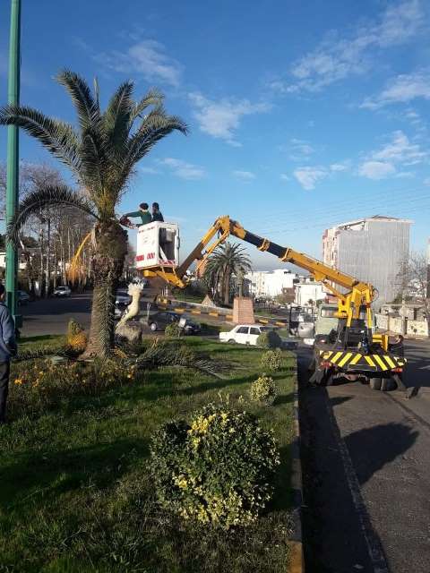 فعالیت های واحد فضای سبز
